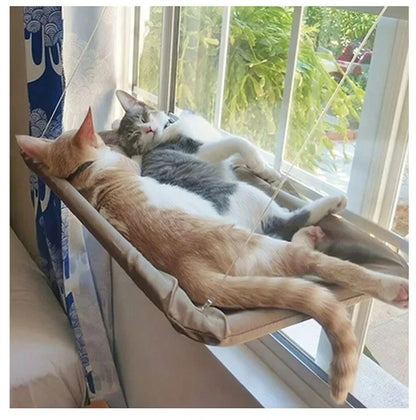 Cat Hammock