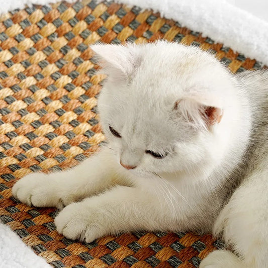 Luxury Scratch Cat Bed