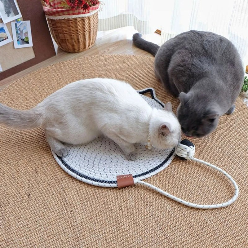 Cat Scratching Rug