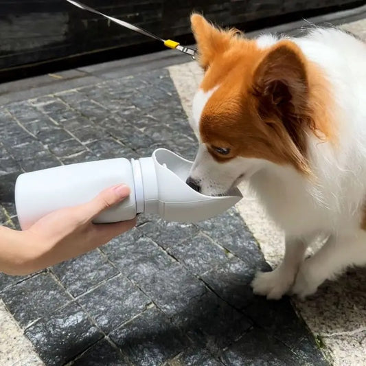 FoldSip Pet Cup
