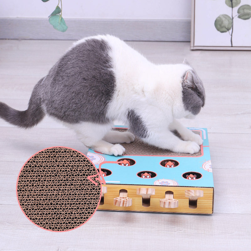 Peek-a-Boo Mulitbox Cat Toy