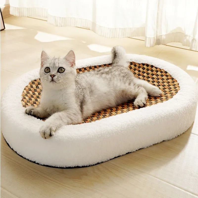 Luxury Scratch - Cat Bed