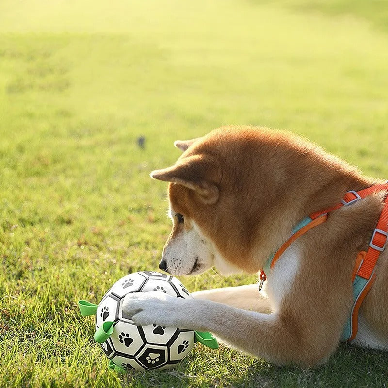 Robust dog toy ball with pull handles
