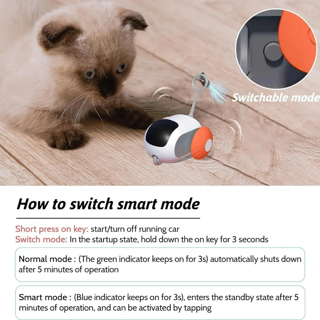 Remote Control Cat Toy