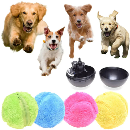 Automatic rolling ball for dogs online