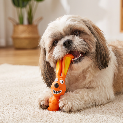 Durable Natural Latex Teeth Cleaning Dog Chew Toy