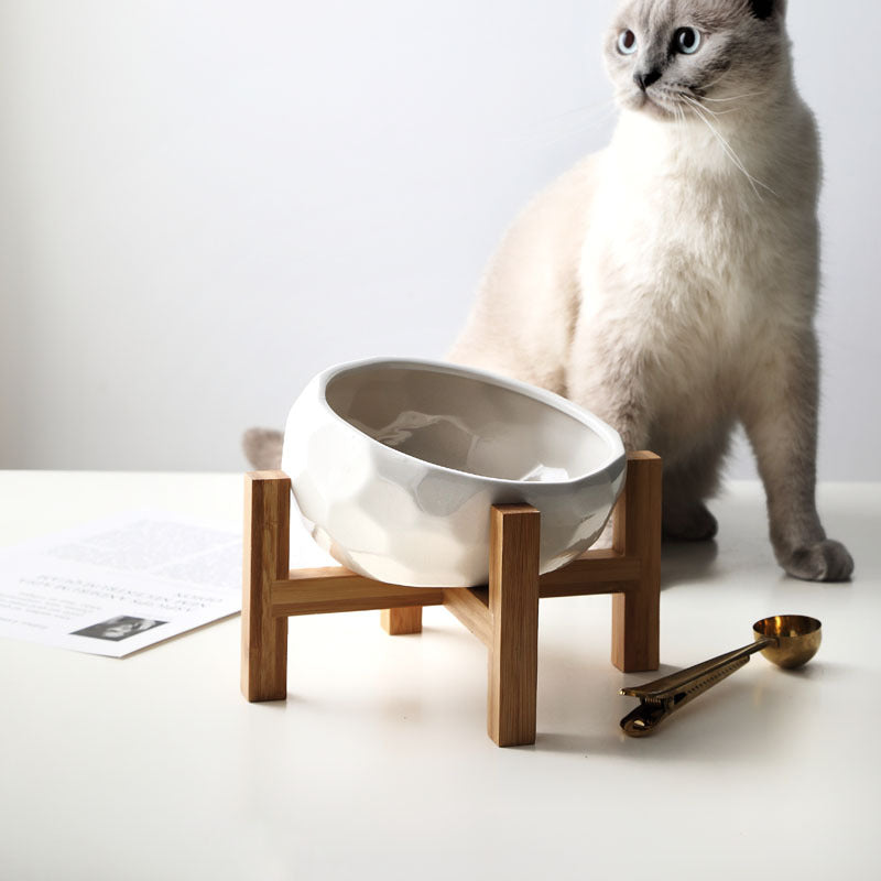 Ergonomic Elevated Pet Food Bowl