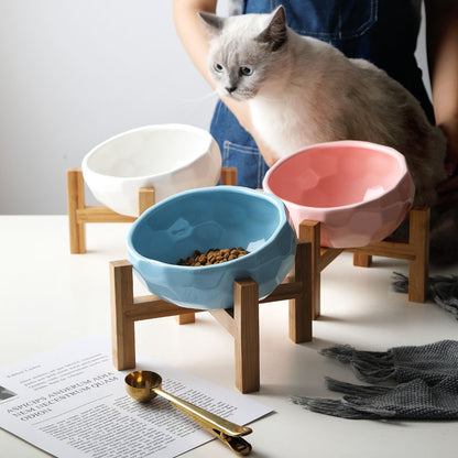 Ergonomic Elevated Pet Food Bowl