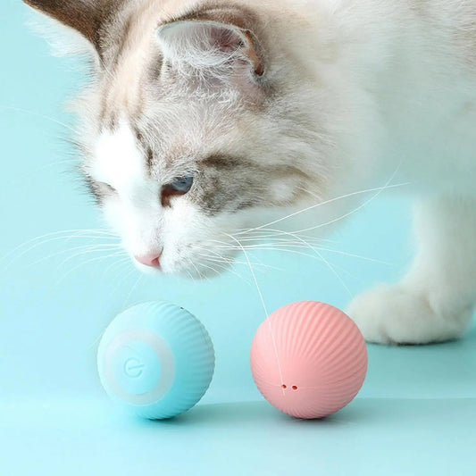 Interactive Cat Play Ball