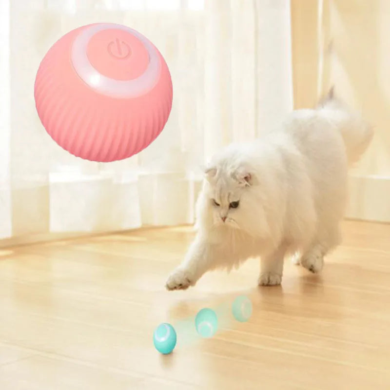 Interactive Cat Play Ball