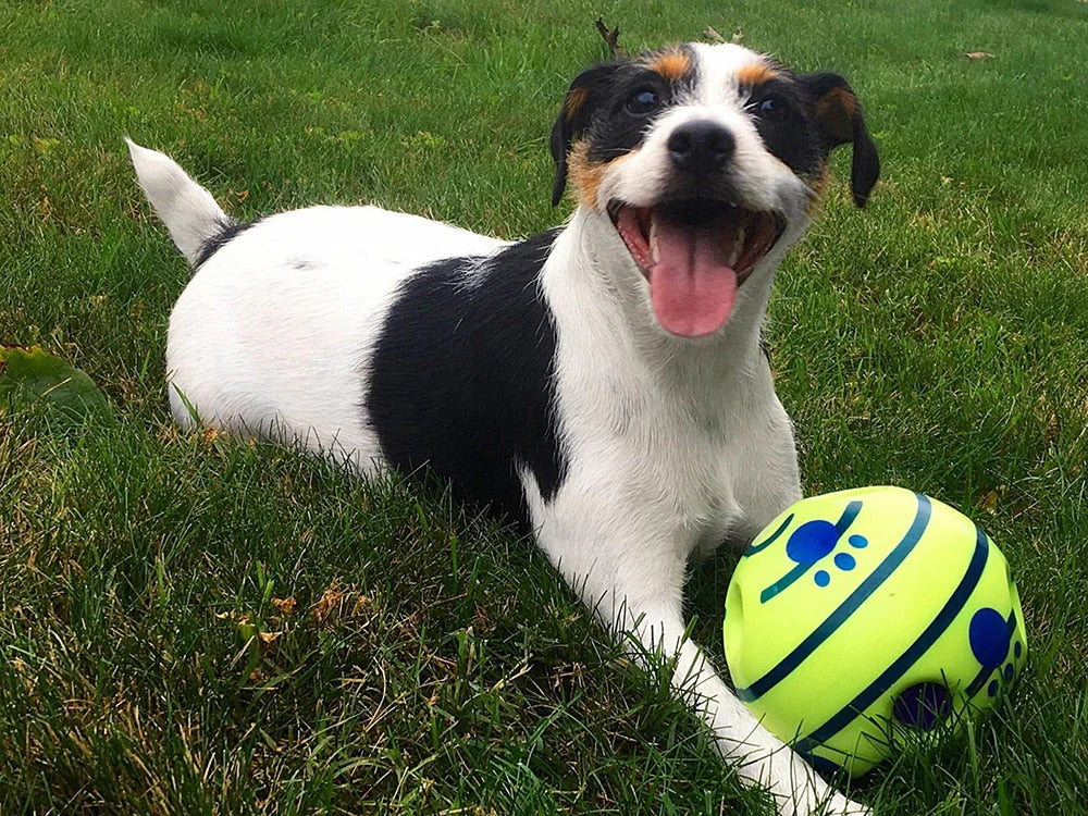 Interactive Play Ball for Dogs