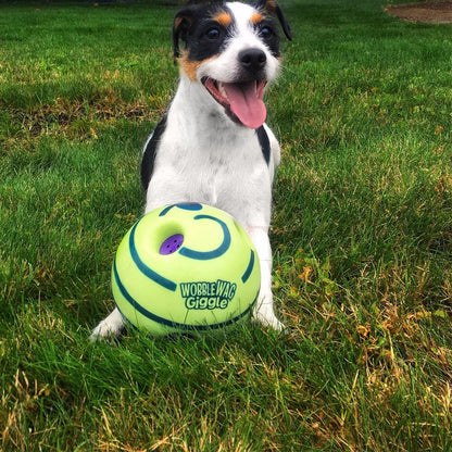 Interactive Play Ball for Dogs