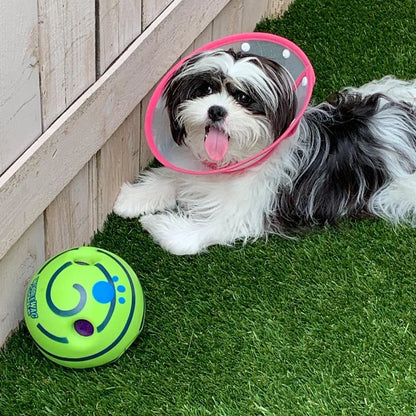 Interactive Play Ball for Dogs