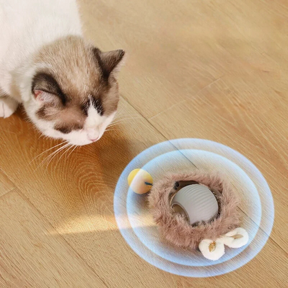 Active Rolling Ball with Tail for Cats