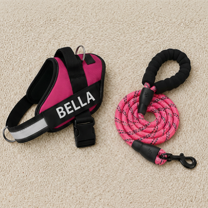 Personalized No-Pull Dog Harness with Front D-Ring – Designed for Neck & Shoulder Relief