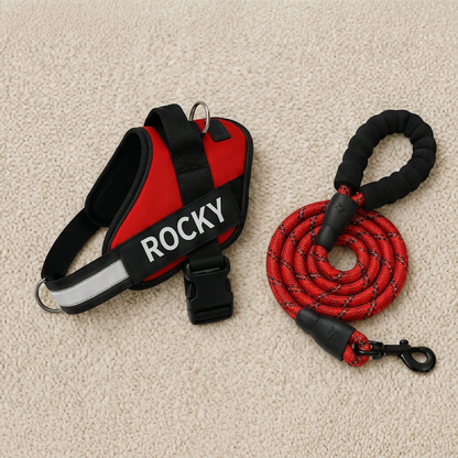 Personalized No-Pull Dog Harness with Front D-Ring – Designed for Neck & Shoulder Relief