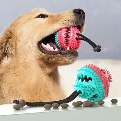 Durable Tug Toy for Dogs – PowerPaw