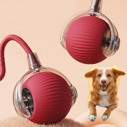 Active jumping ball for dogs shop