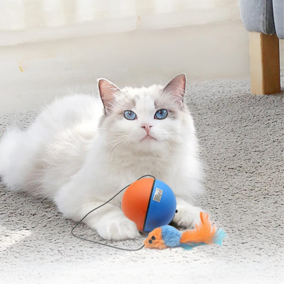 Cat turbo ball with tail toy