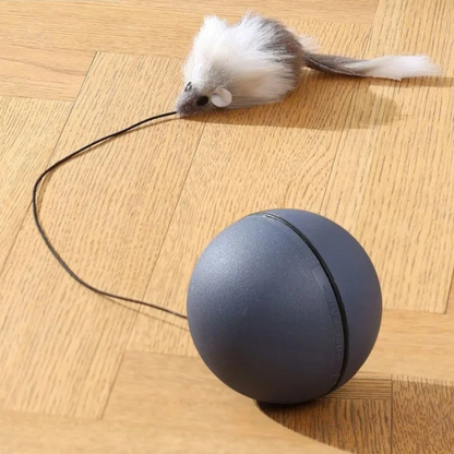 Cat turbo ball with tail toy