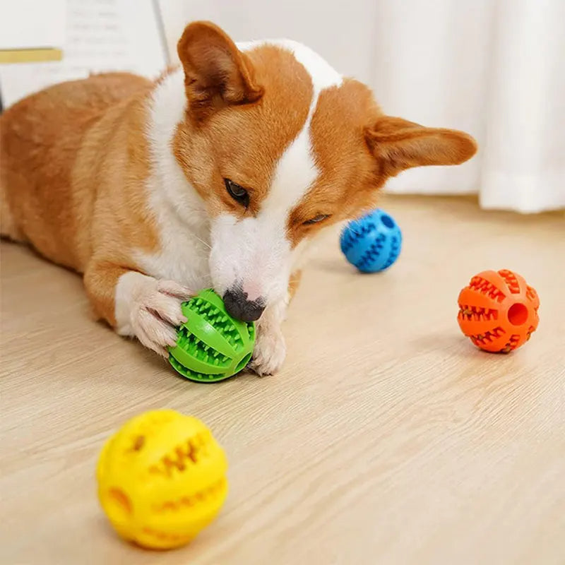 Dog Treat Chew Ball for Dental Cleaning