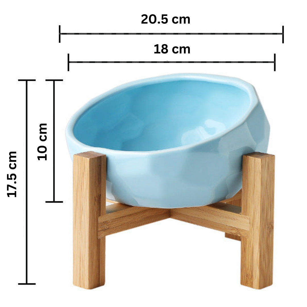 Ergonomic Elevated Pet Food Bowl