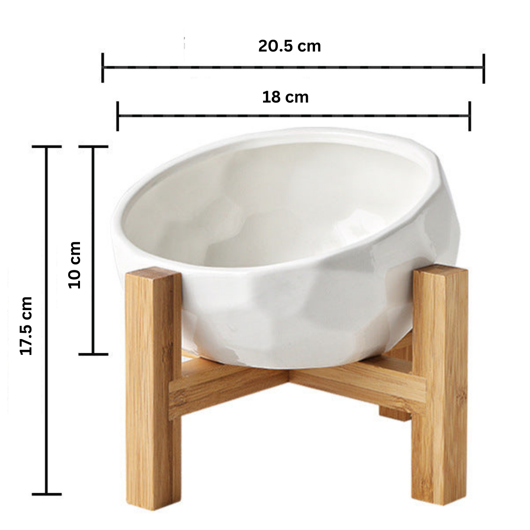 Ergonomic Elevated Pet Food Bowl