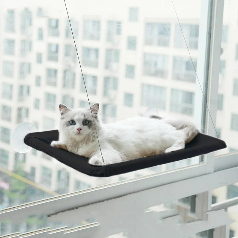 Cat Hammock