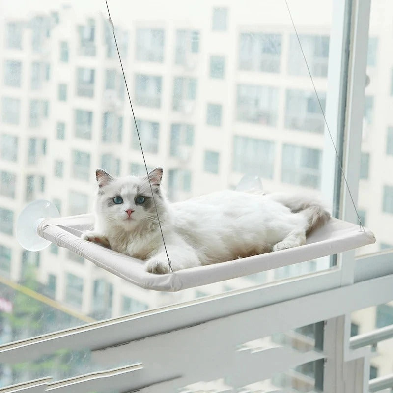 Cat Hammock