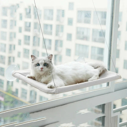 Cat Hammock