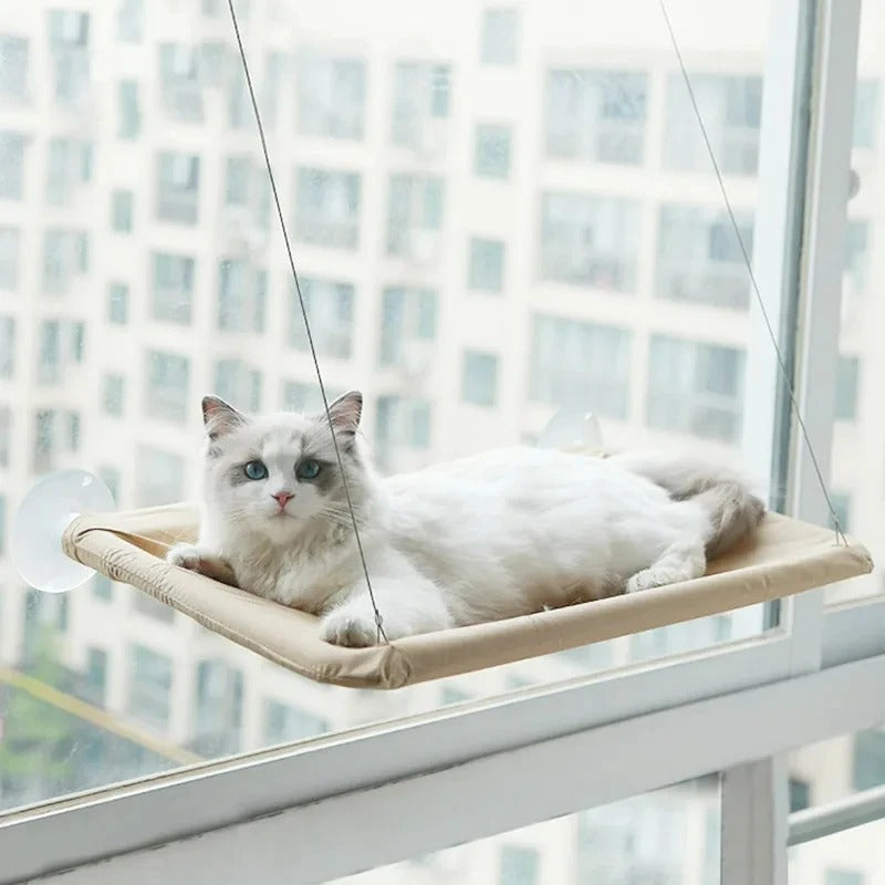 Cat hammock uk best sale