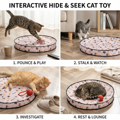 Interactive Hide and Seek Cat Toy