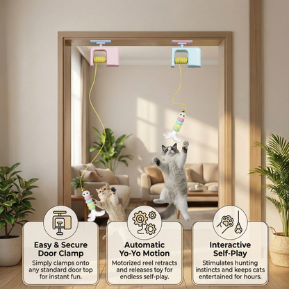Interactive door yo-yo cat toy with self-play function