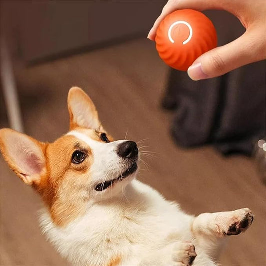 Interactive Jumping Ball for Dogs