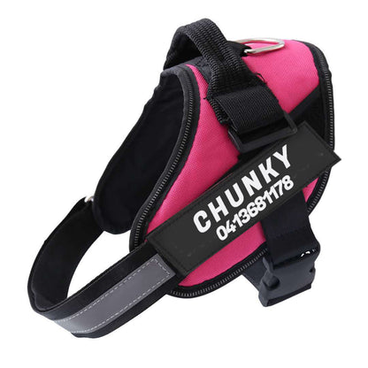 PerfectFit - Personalized No Pull Dog Harness