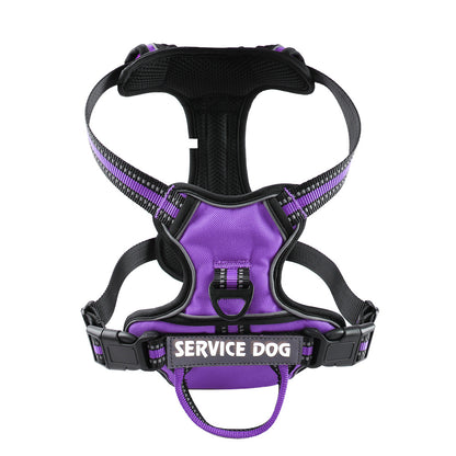 FreeMotion - Personalised Y-Shape Dog Harness