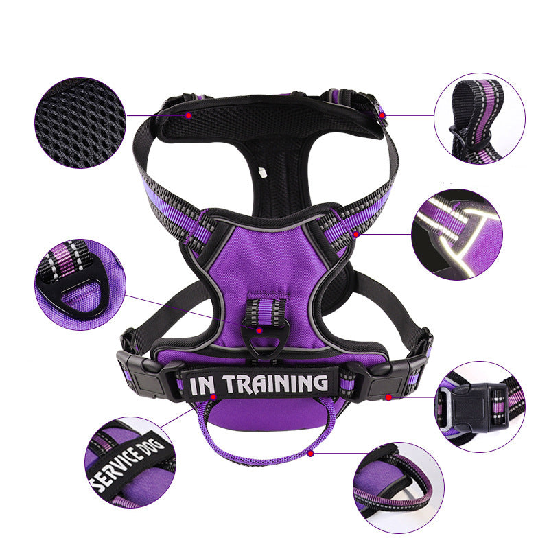 FreeMotion - Personalised Y-Shape Dog Harness