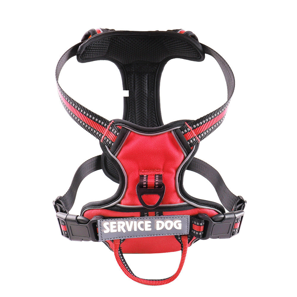 FreeMotion - Personalised Y-Shape Dog Harness