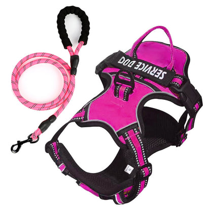 FreeMotion - Personalised Y-Shape Dog Harness