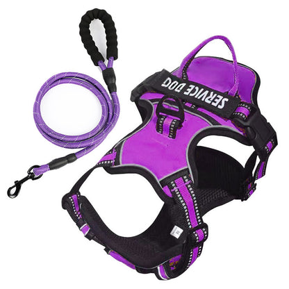 FreeMotion - Personalised Y-Shape Dog Harness