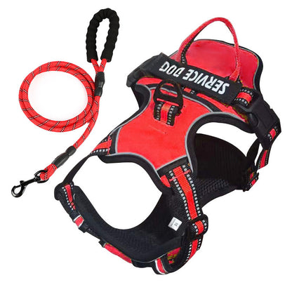 FreeMotion - Personalised Y-Shape Dog Harness