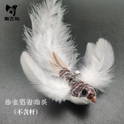 Flying Feather Cat Teaser